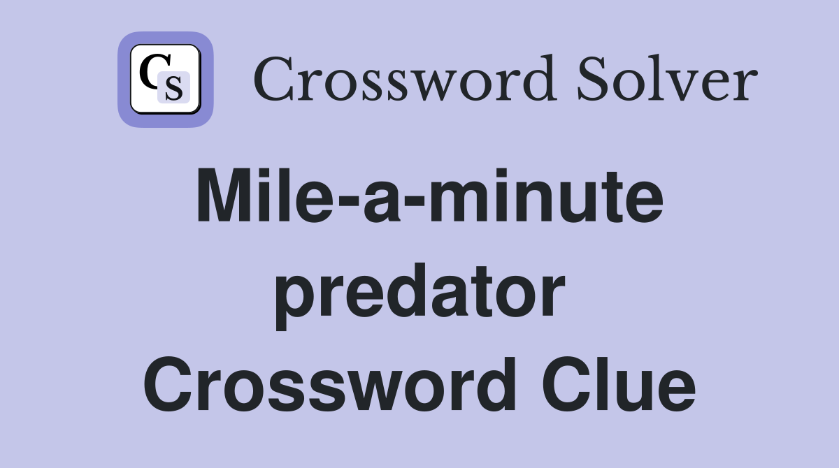 Mile-a-minute predator Crossword Clue