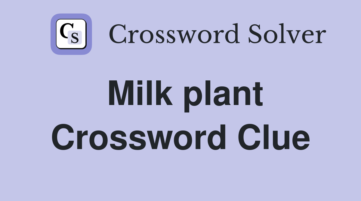 Milk plant Crossword Clue