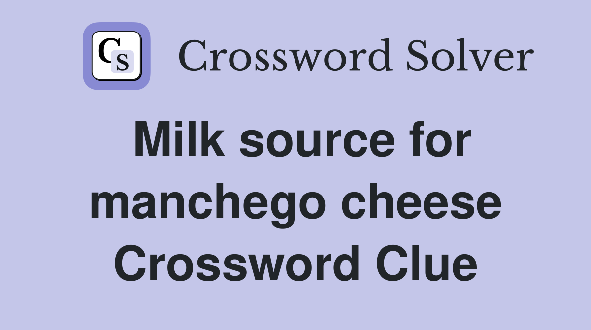 Milk source for manchego cheese Crossword Clue