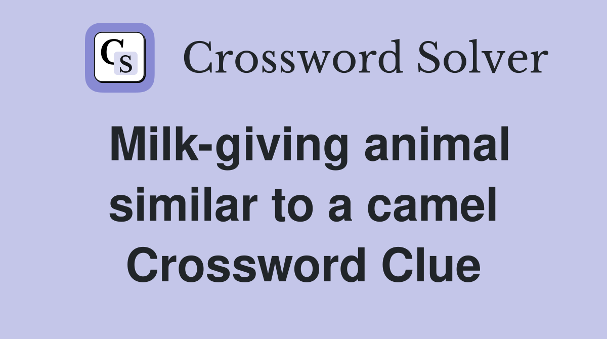 Milk-giving animal similar to a camel Crossword Clue