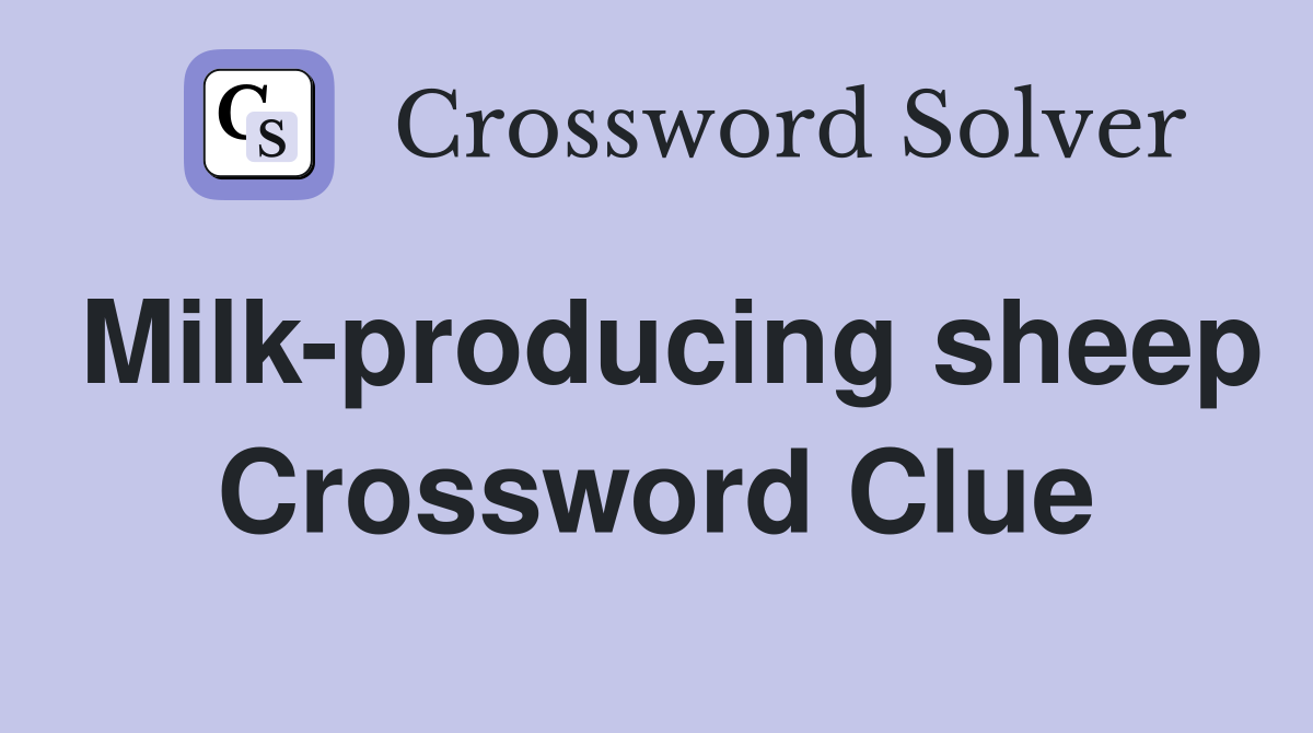 Milk-producing sheep Crossword Clue