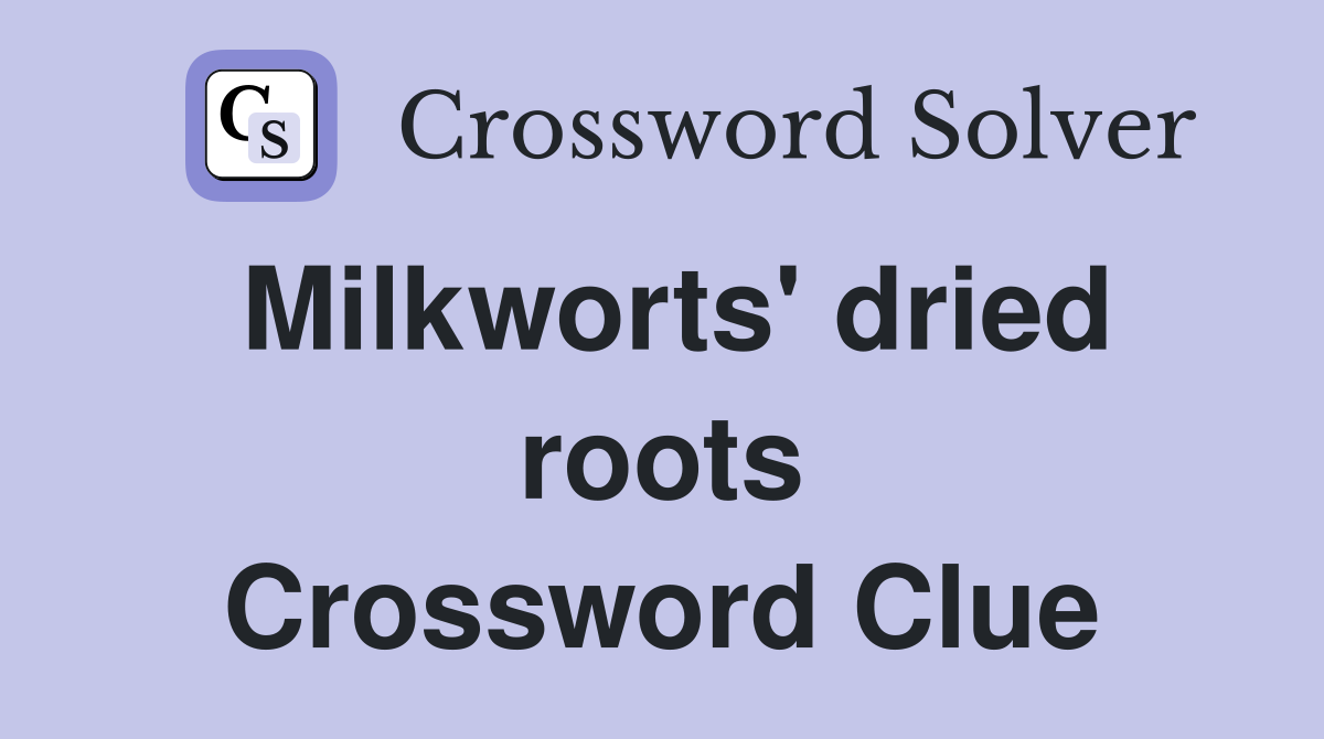 Milkworts' dried roots Crossword Clue