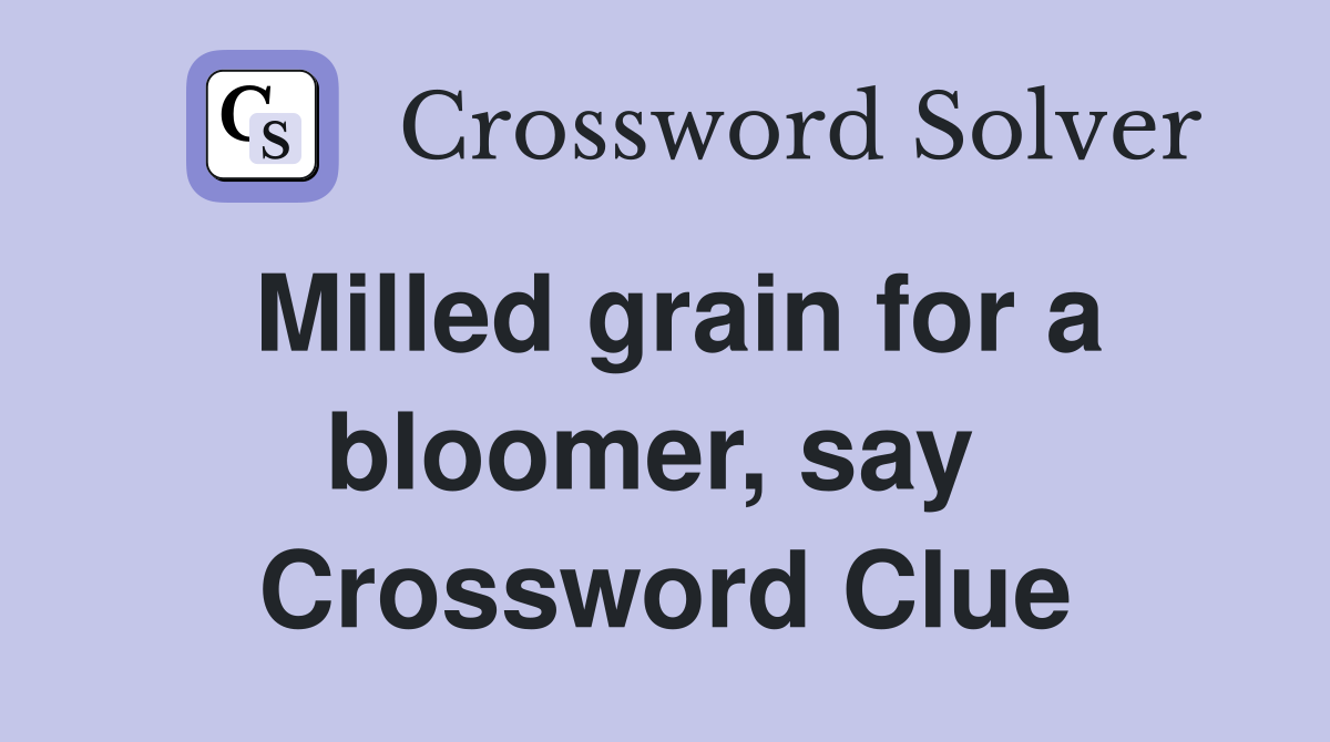 Milled grain for a bloomer, say  Crossword Clue