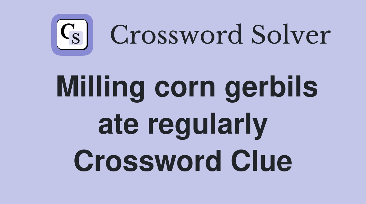 Milling corn gerbils ate regularly Crossword Clue