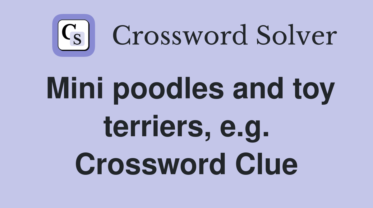 Mini poodles and toy terriers, e.g. Crossword Clue