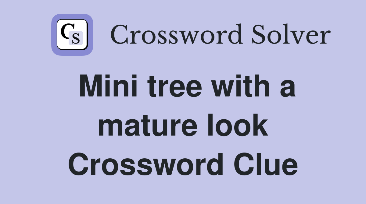 Mini tree with a mature look Crossword Clue