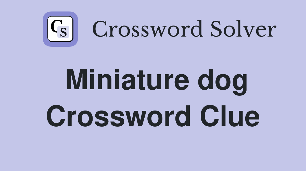 Miniature dog Crossword Clue