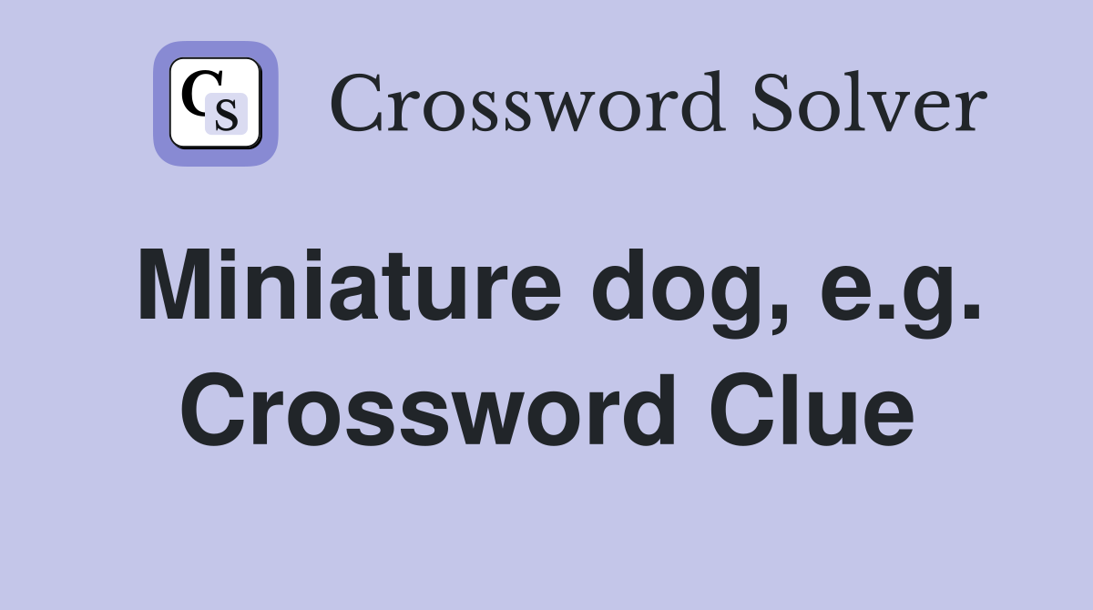 Miniature dog, e.g. Crossword Clue