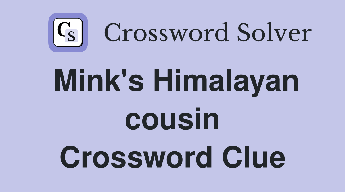Mink's Himalayan cousin Crossword Clue