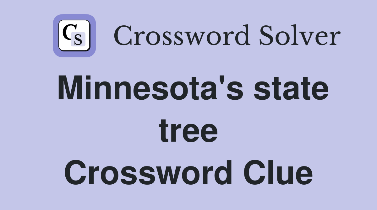 Minnesota's state tree Crossword Clue