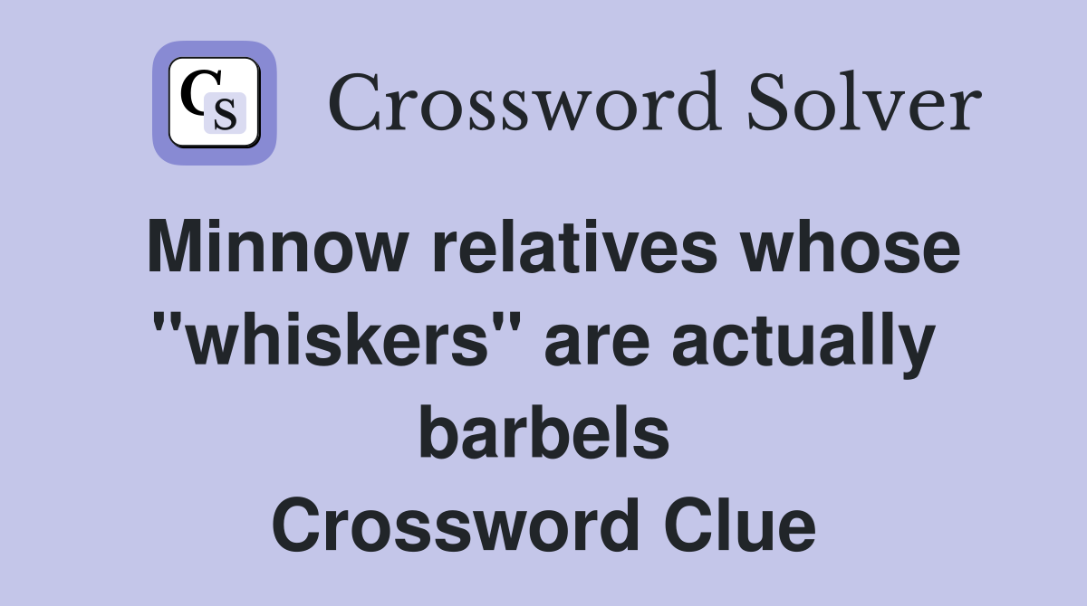 Minnow relatives whose "whiskers" are actually barbels Crossword Clue