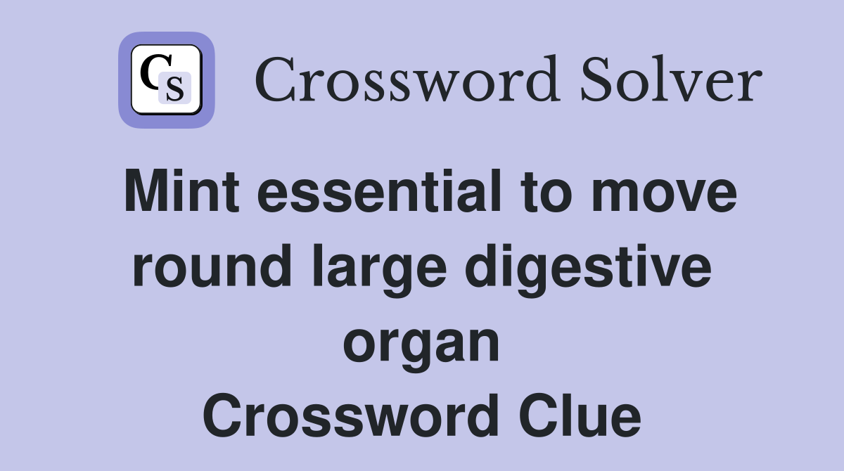 Mint essential to move round large digestive organ Crossword Clue