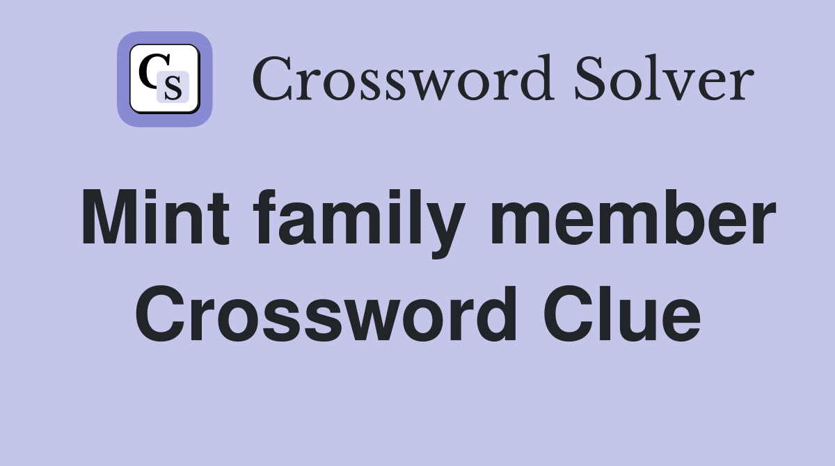 Mint family member Crossword Clue