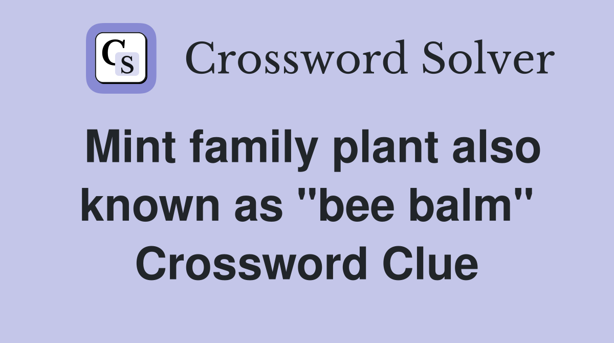 Mint family plant also known as "bee balm" Crossword Clue