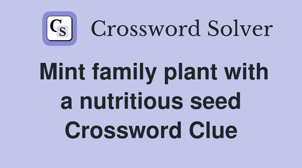 Mint family plant with a nutritious seed Crossword Clue