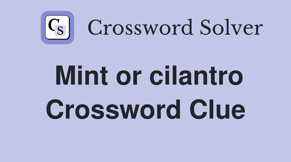 Mint or cilantro Crossword Clue