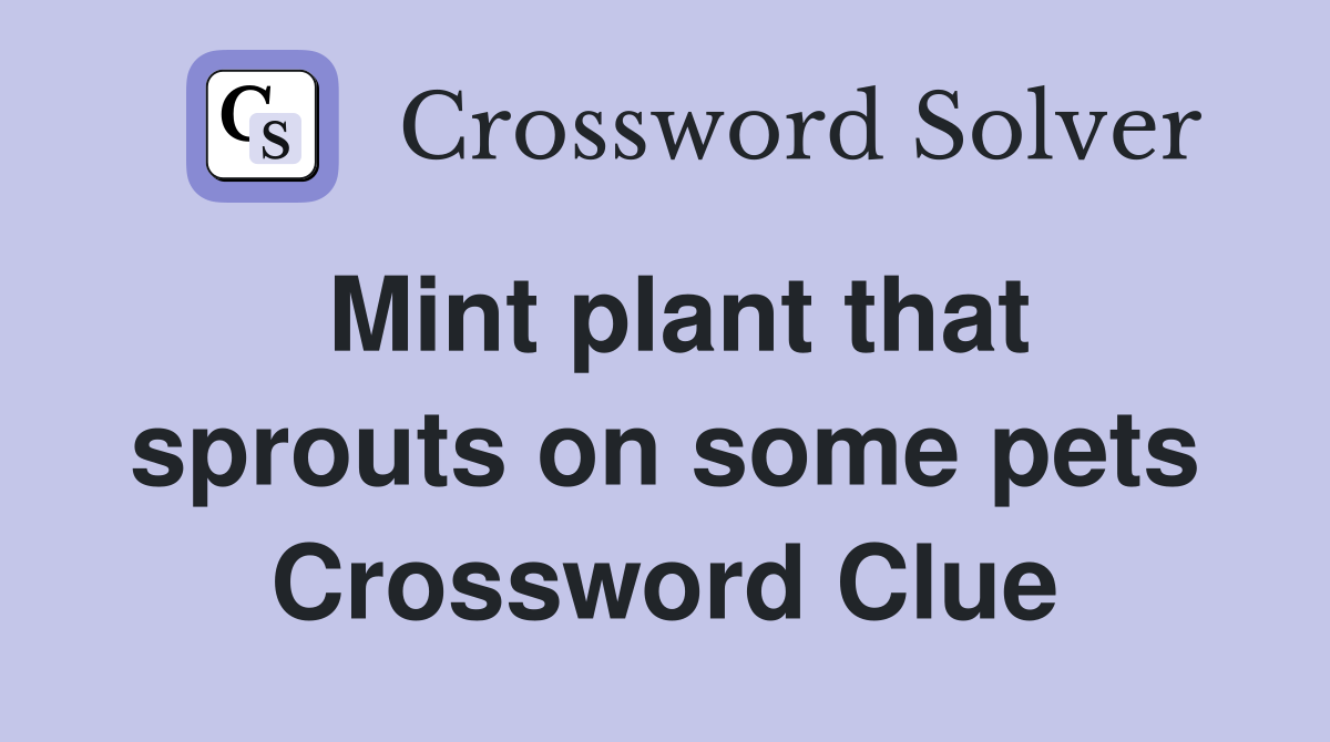 Mint plant that sprouts on some pets Crossword Clue