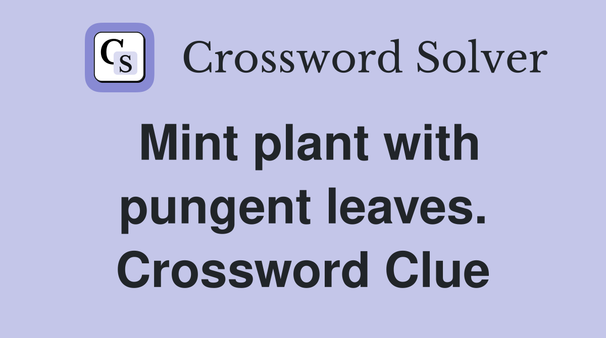 Mint plant with pungent leaves. Crossword Clue