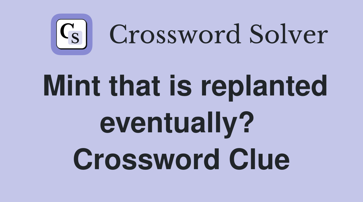 Mint that is replanted eventually?  Crossword Clue