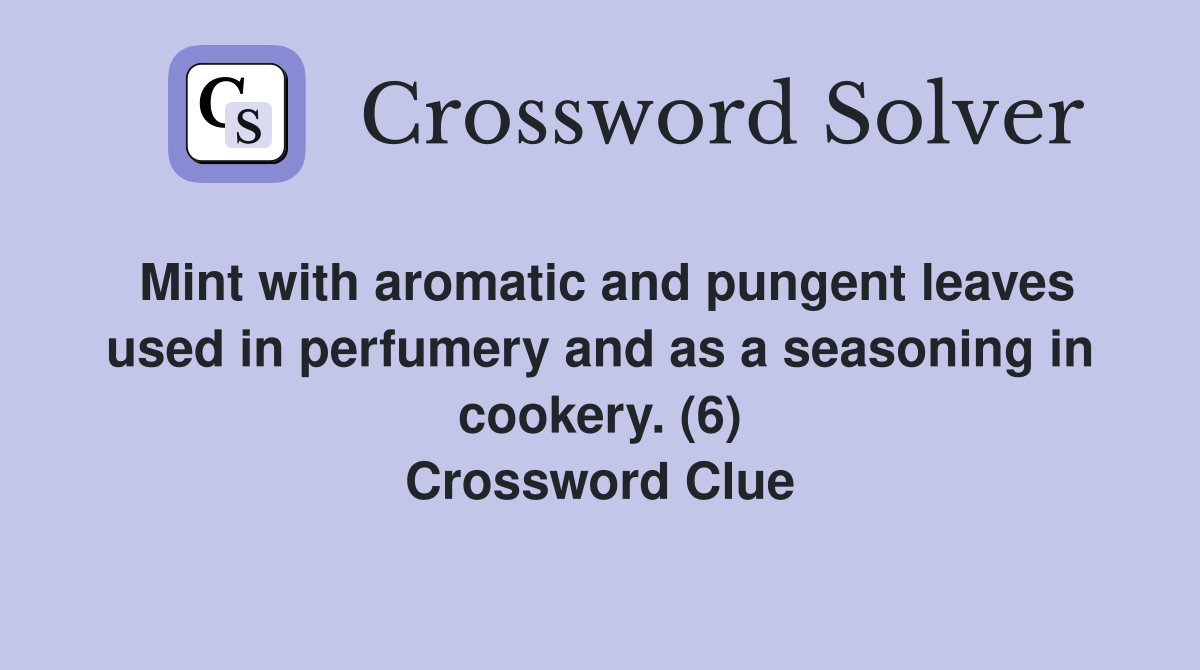 Mint with aromatic and pungent leaves used in perfumery and as a seasoning in cookery. (6) Crossword Clue