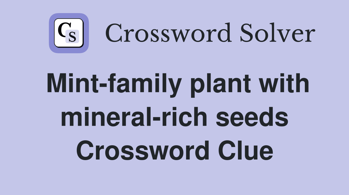 Mint-family plant with mineral-rich seeds Crossword Clue