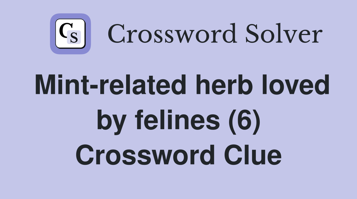 Mint-related herb loved by felines (6) Crossword Clue