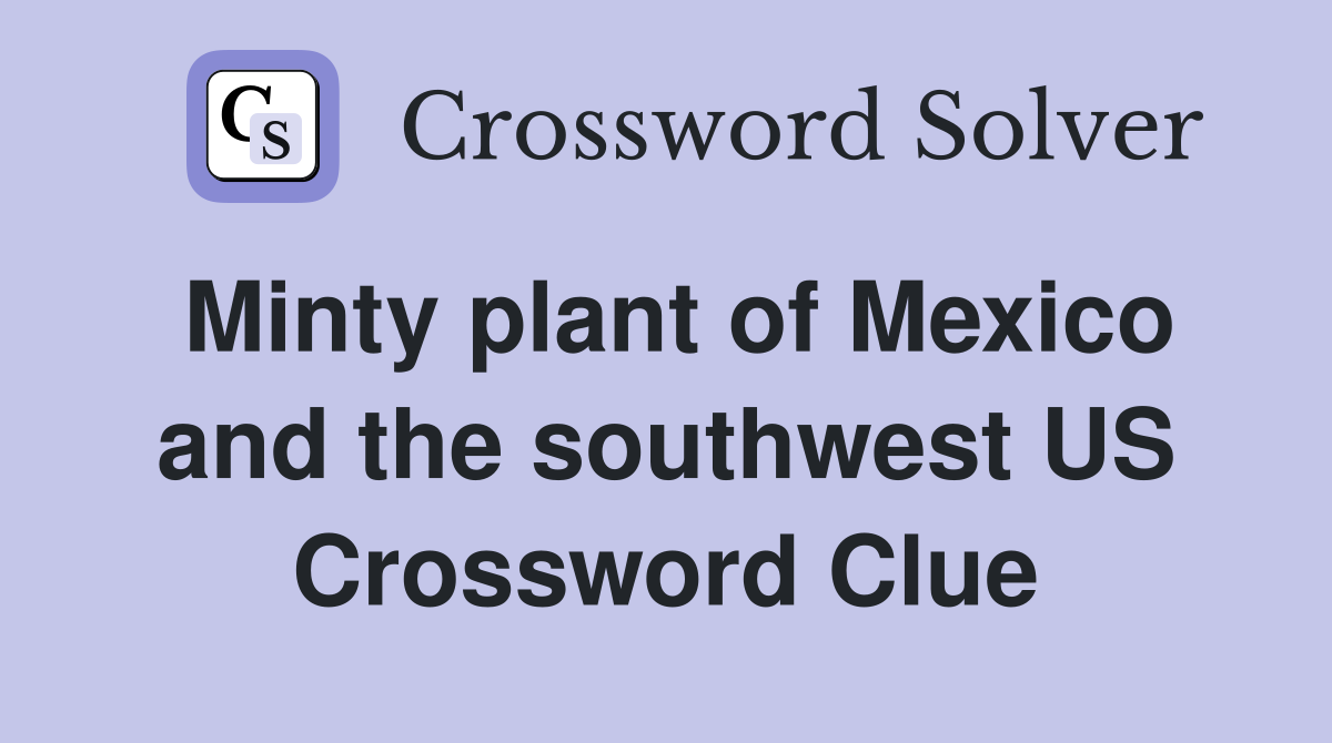 Minty plant of Mexico and the southwest US Crossword Clue