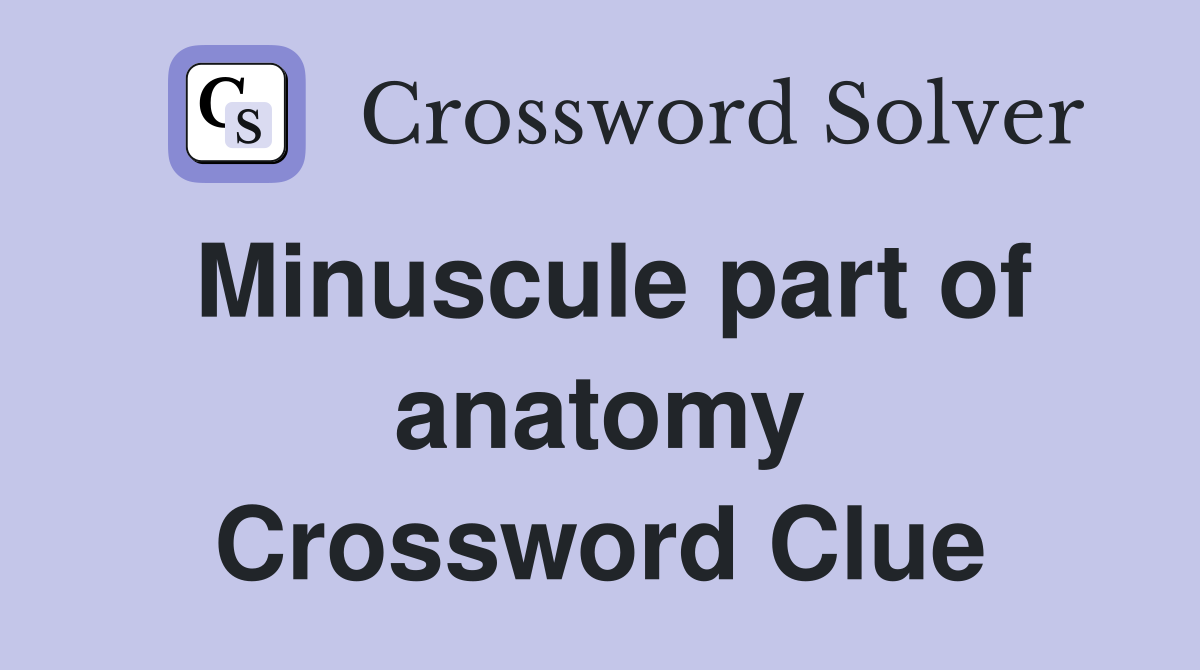 Minuscule part of anatomy Crossword Clue