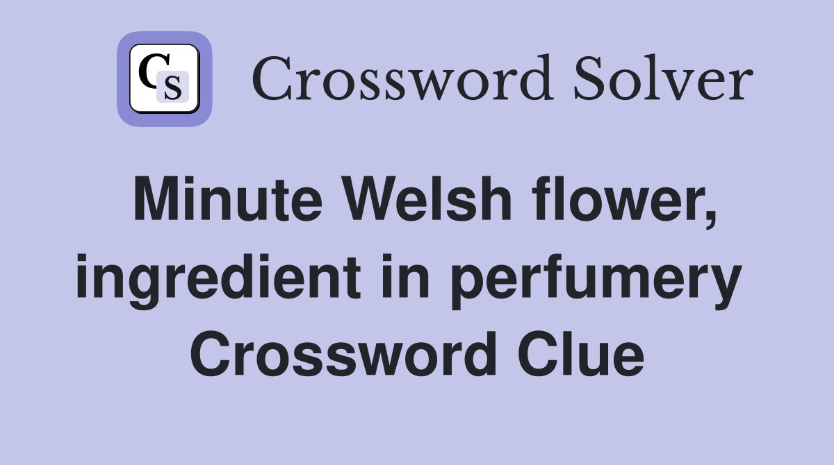 Minute Welsh flower, ingredient in perfumery  Crossword Clue