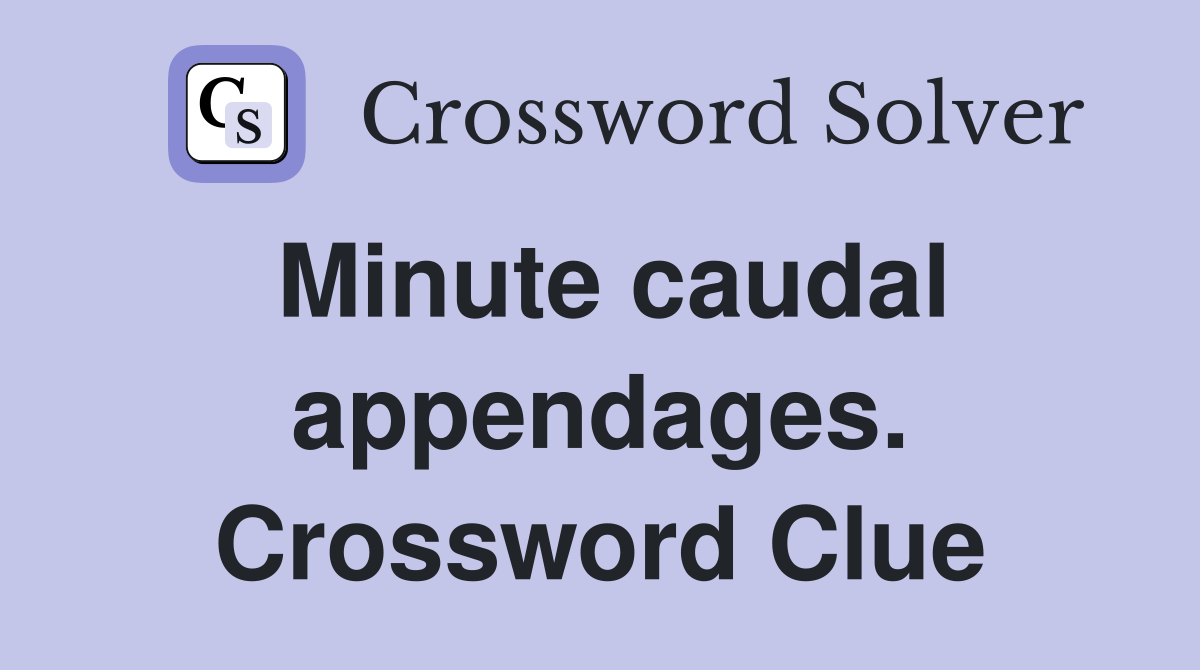 Minute caudal appendages. Crossword Clue