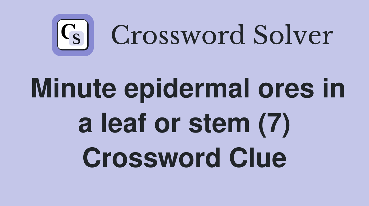 Minute epidermal ores in a leaf or stem (7) Crossword Clue