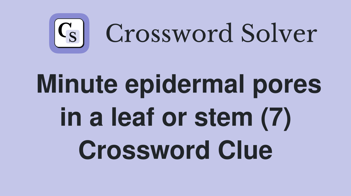 Minute epidermal pores in a leaf or stem (7) Crossword Clue