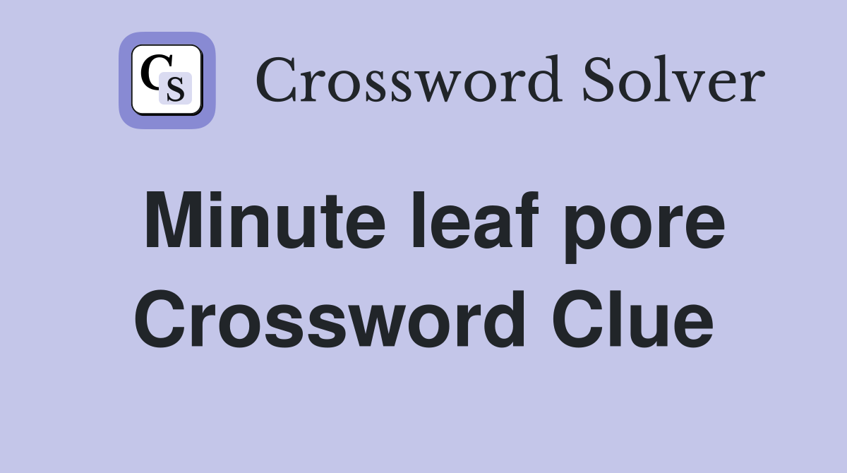 Minute leaf pore Crossword Clue