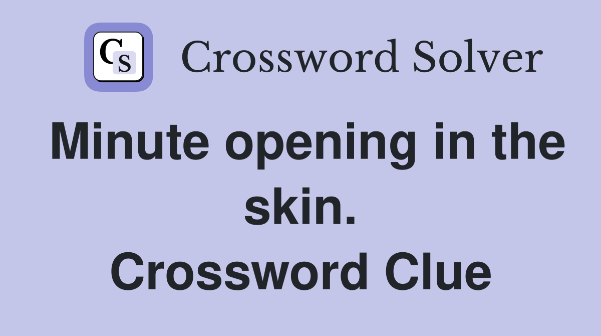 Minute opening in the skin. Crossword Clue