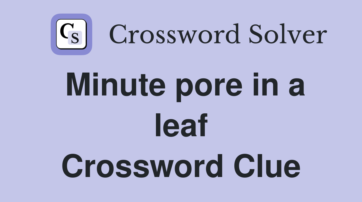 Minute pore in a leaf Crossword Clue