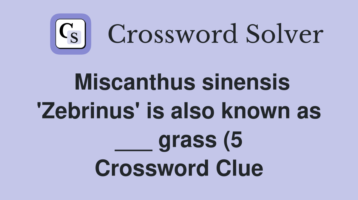 Miscanthus sinensis #39 Zebrinus #39 is also known as grass (5 Miscanthus sinensis #39 Zebrinus #39 is also known as grass (5