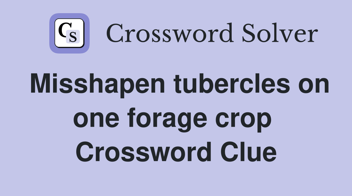 Misshapen tubercles on one forage crop  Crossword Clue