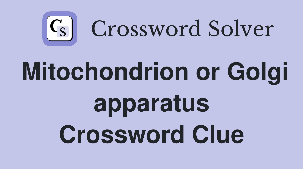 Mitochondrion or Golgi apparatus Crossword Clue