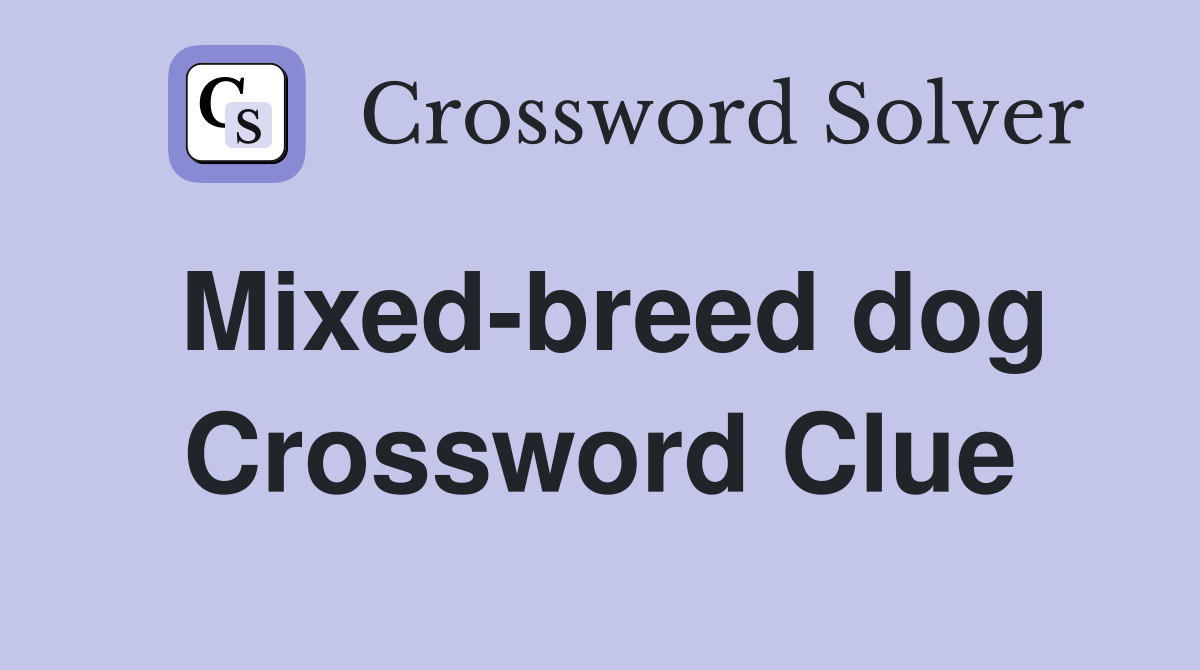 Mixed-breed dog Crossword Clue