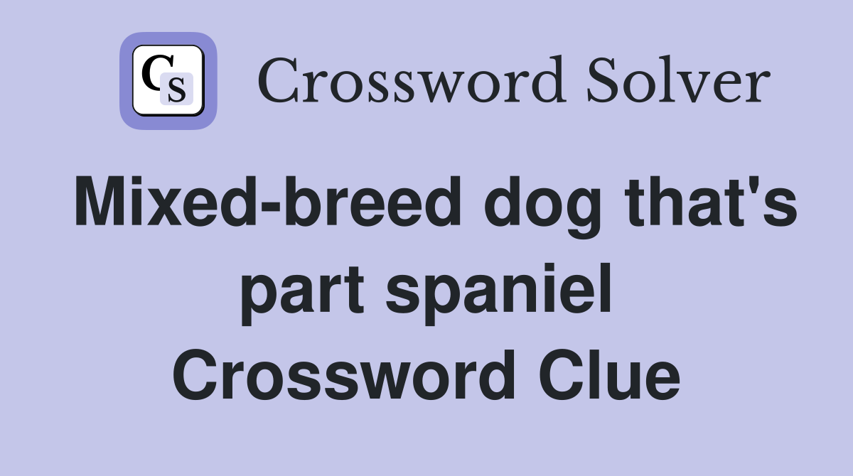 Mixed-breed dog that's part spaniel Crossword Clue