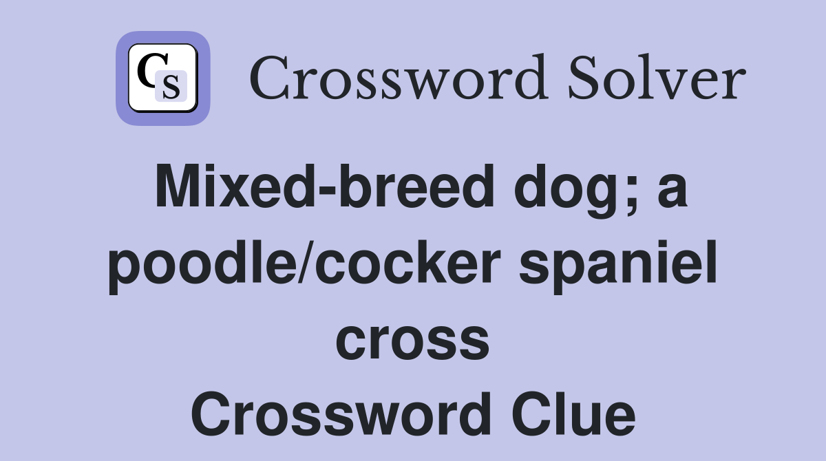 Mixed-breed dog; a poodle/cocker spaniel cross Crossword Clue