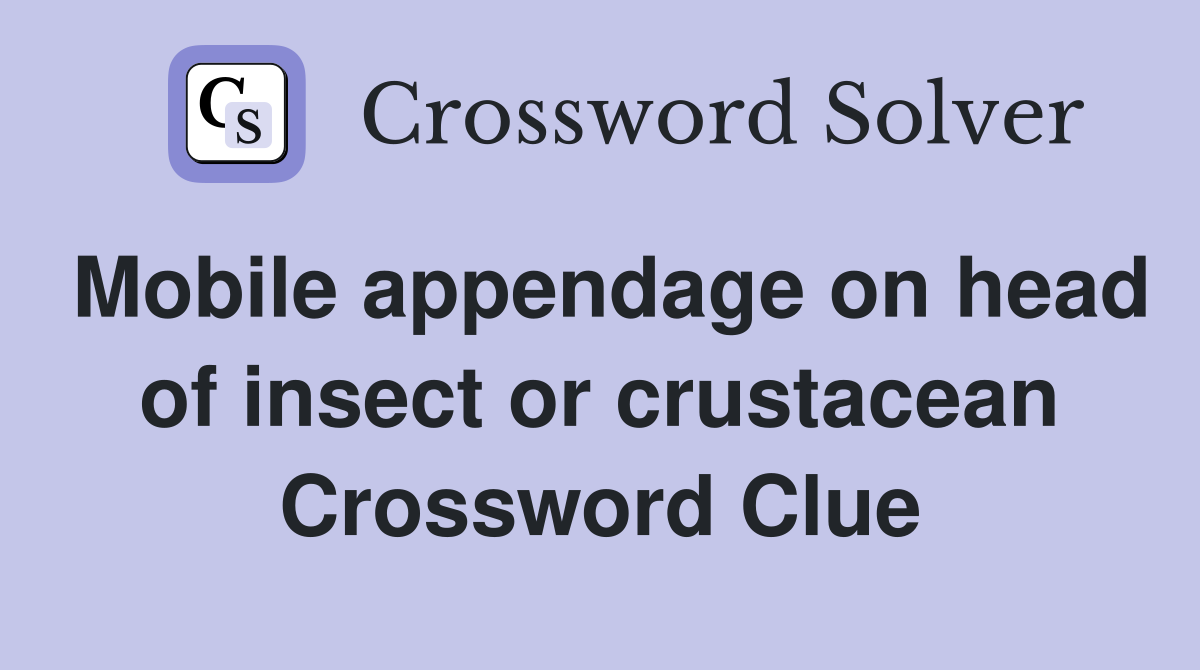 Mobile appendage on head of insect or crustacean Crossword Clue
