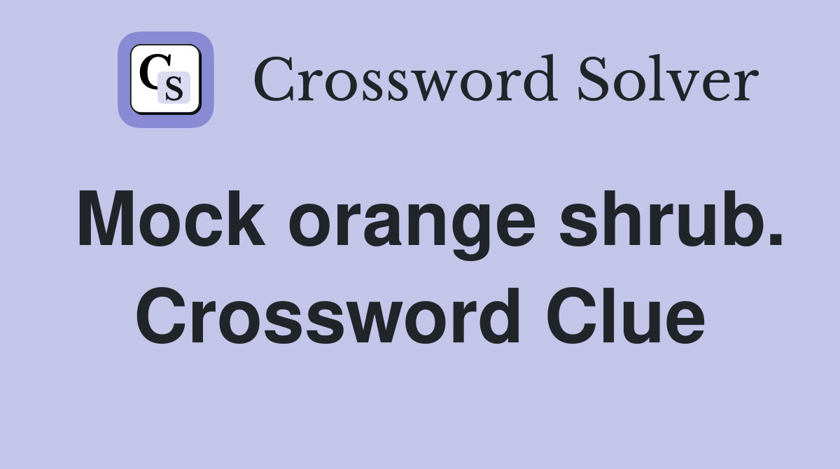 Mock orange shrub. Crossword Clue