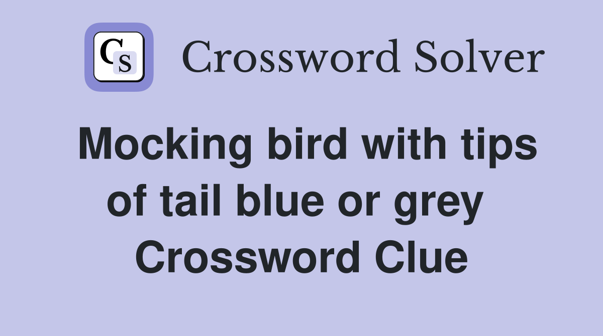 Mocking bird with tips of tail blue or grey  Crossword Clue