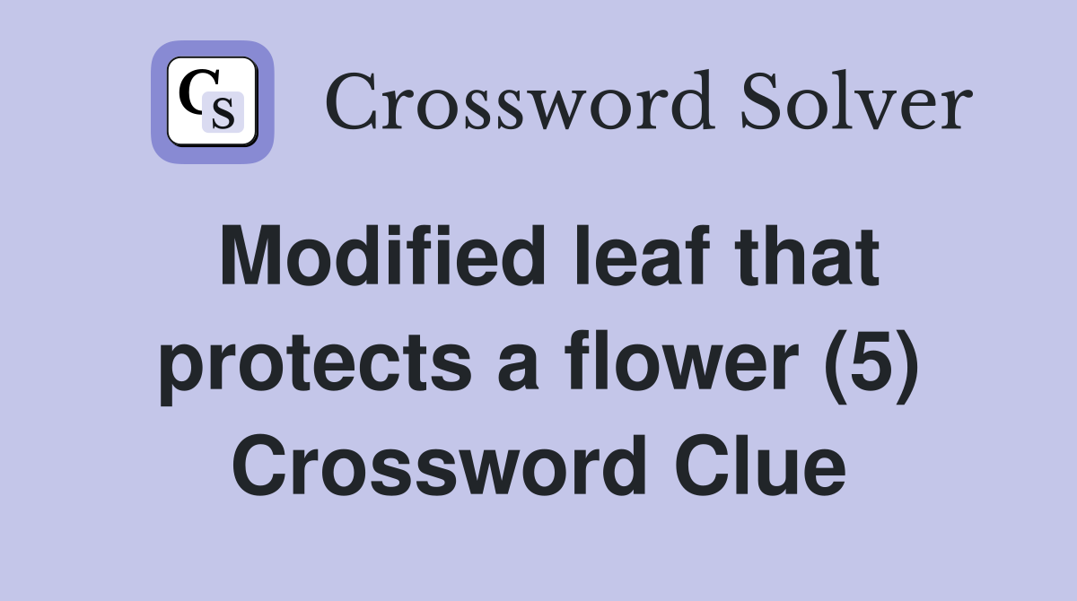 Modified leaf that protects a flower (5) Crossword Clue