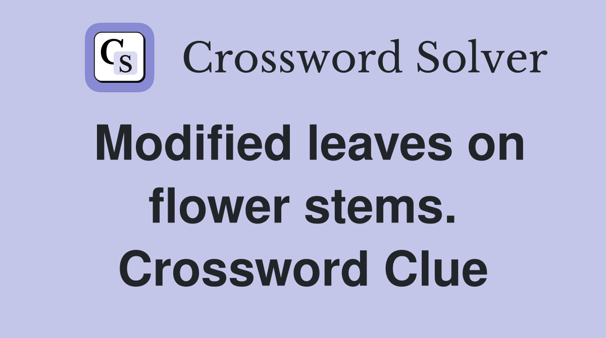 Modified leaves on flower stems. Crossword Clue