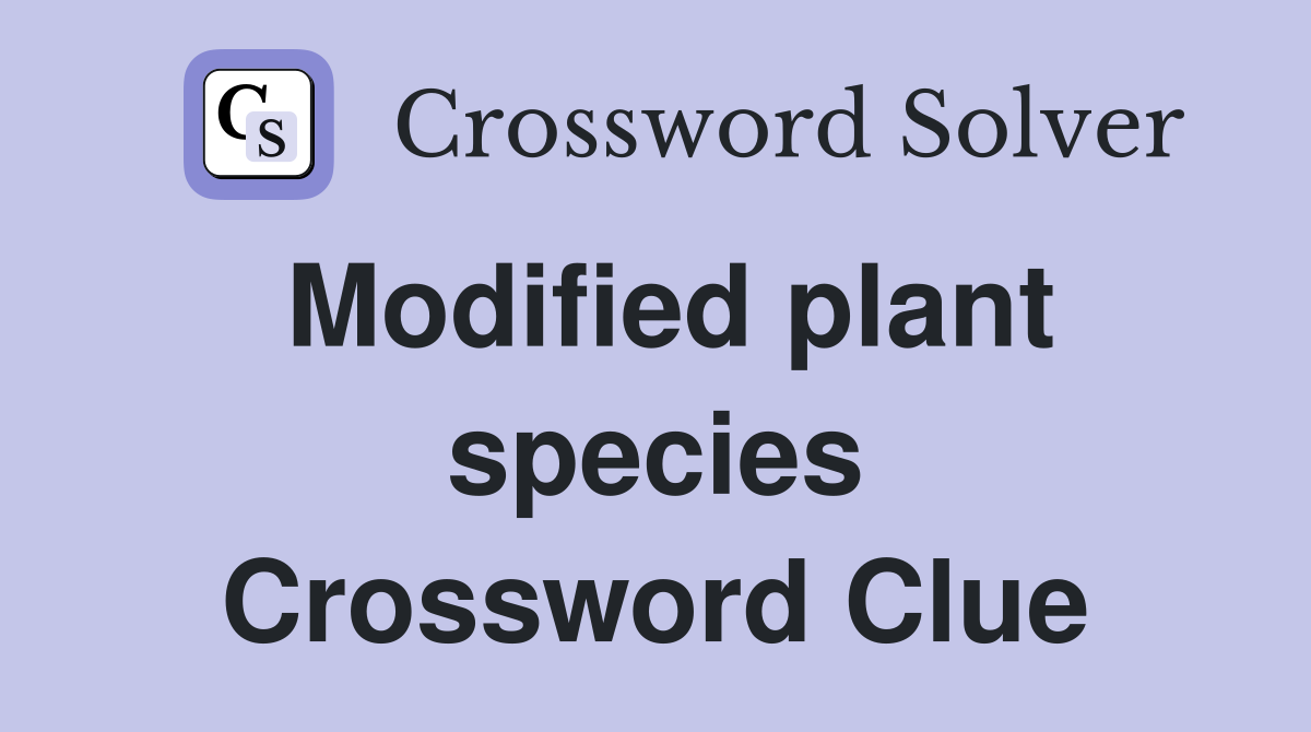 Modified plant species Crossword Clue