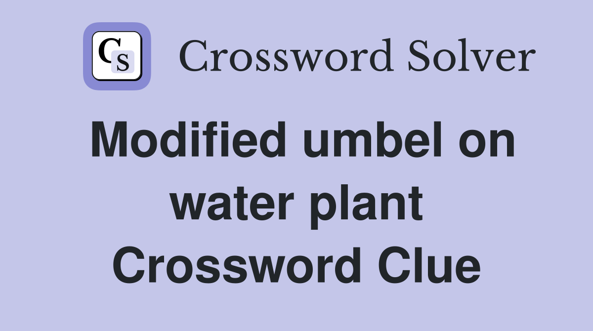 Modified umbel on water plant Crossword Clue