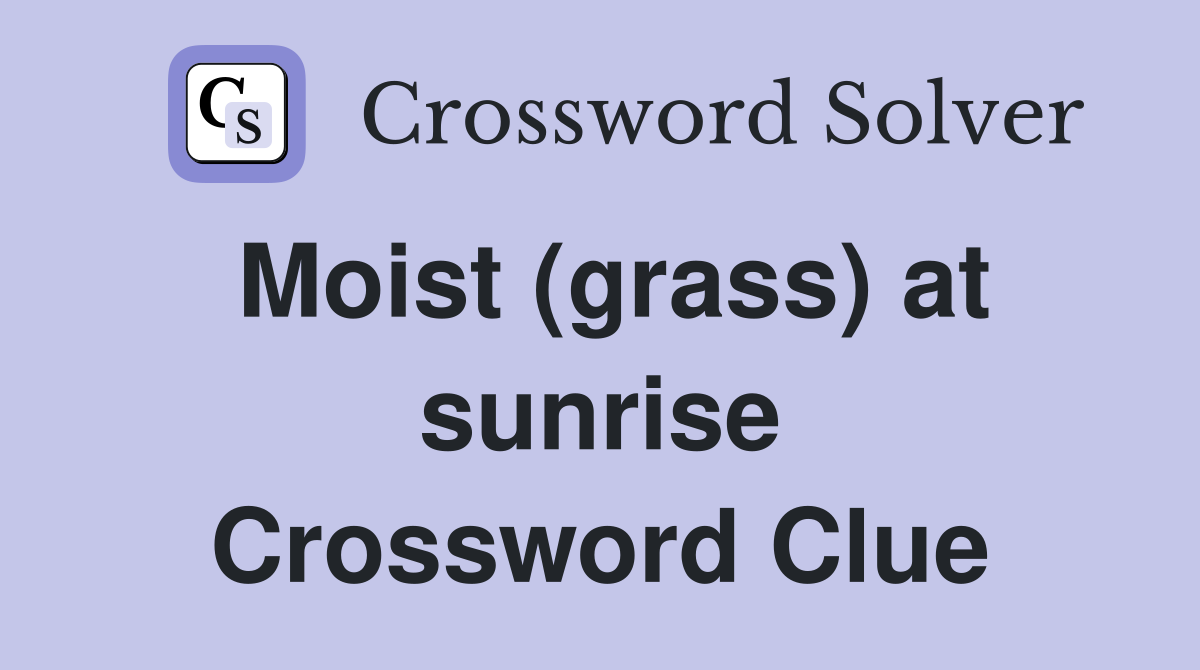 Moist (grass) at sunrise Crossword Clue