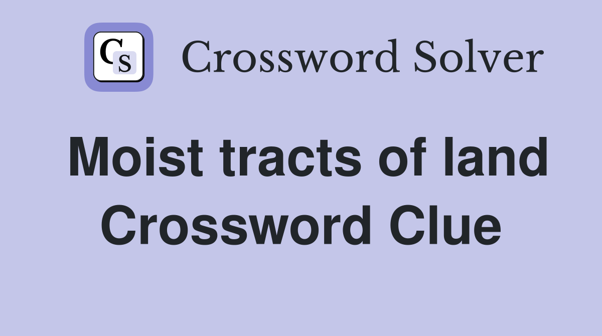 Moist tracts of land Crossword Clue